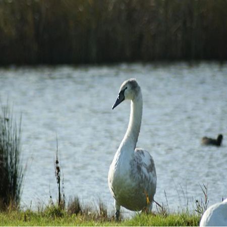 Auplands En-Suite Rooms Lymington Esterno foto