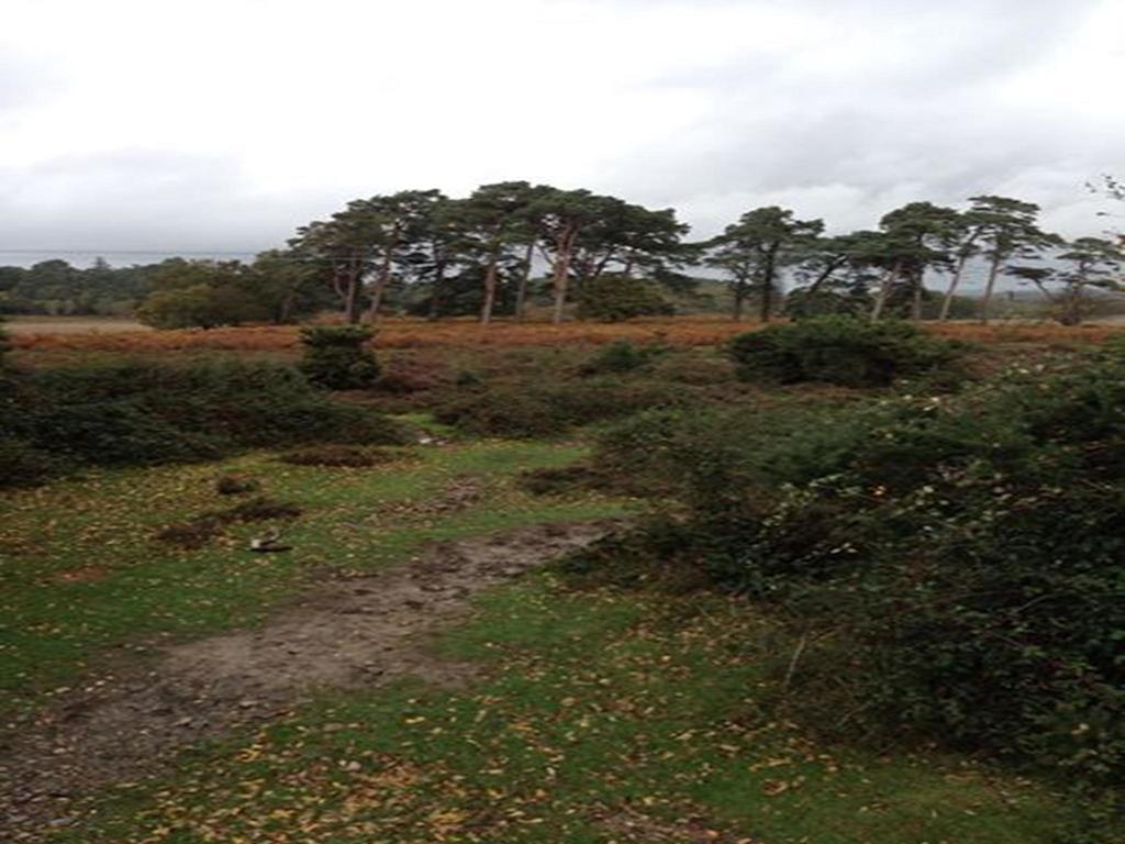 Auplands En-Suite Rooms Lymington Esterno foto